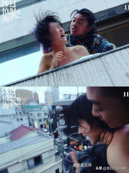 视频app下载版的相关介绍