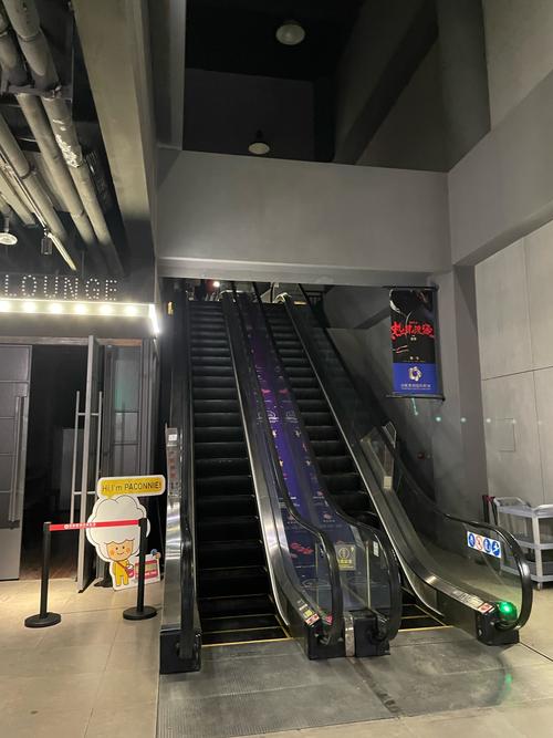 神马影院我不卡影院的相关介绍