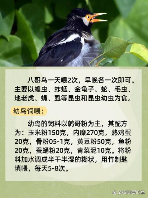 东京精油按摩师的相关介绍
