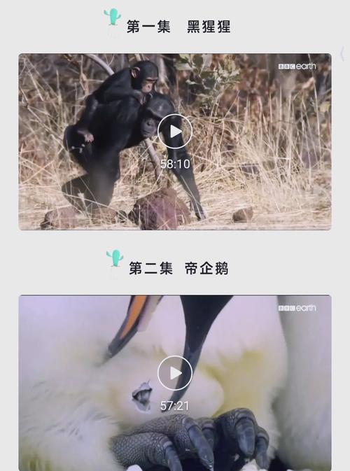 4480万达苹果影院4410的相关介绍