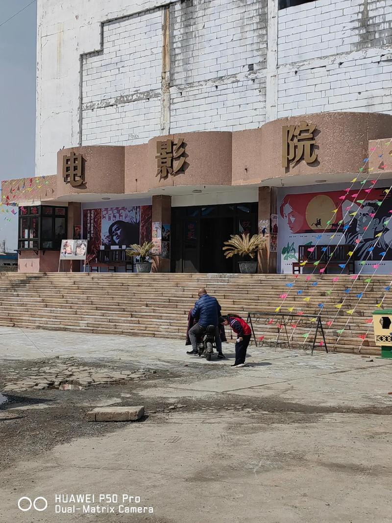 老司机影院地址播放的相关介绍