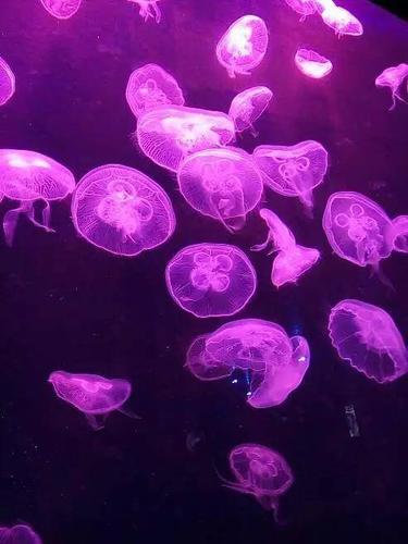 操死美女老师的相关介绍