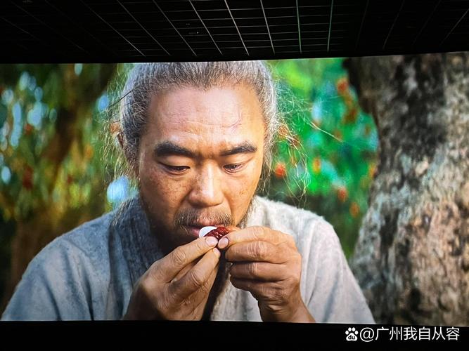 极光影院app下载安装的相关介绍