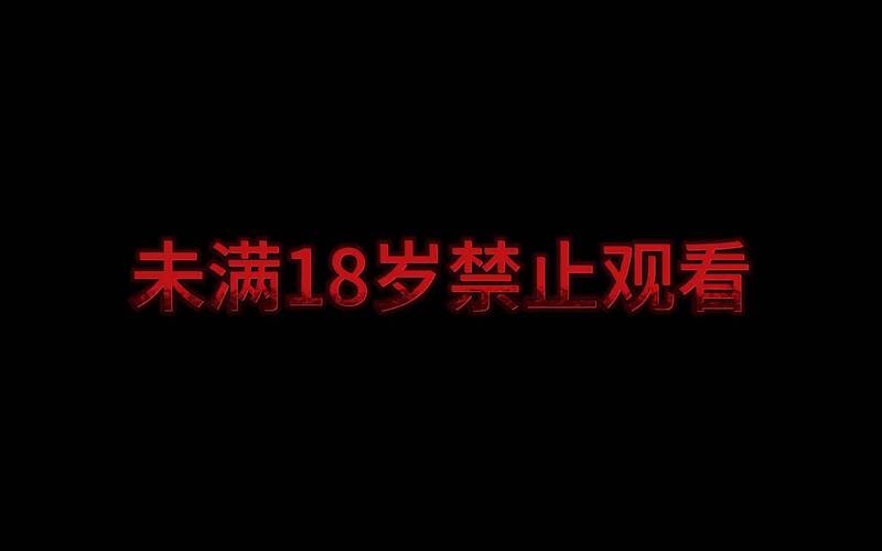 久久精品久久久久久的相关介绍