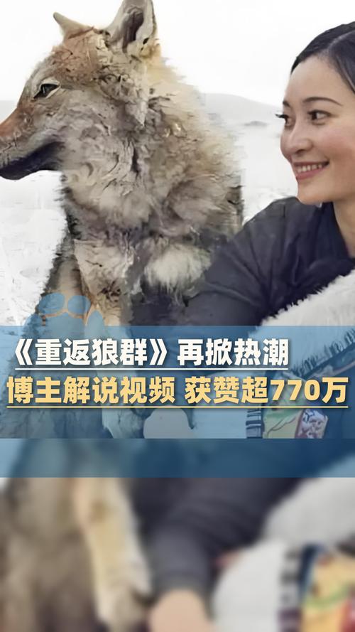 伊人香蕉5影院的相关介绍