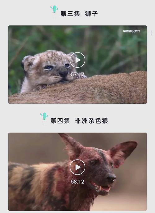 官场红杏美艳人妻的相关介绍