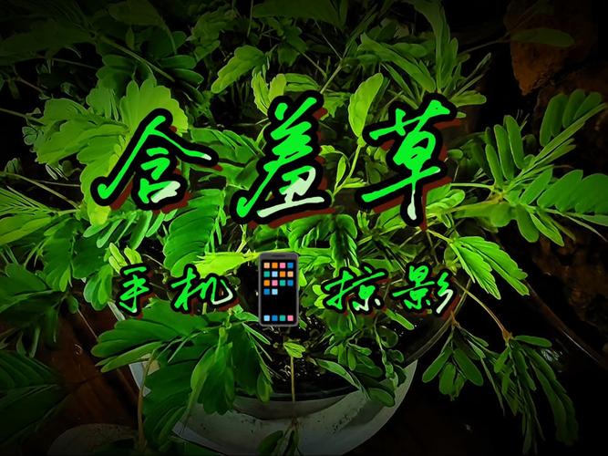 av悠悠色的相关介绍