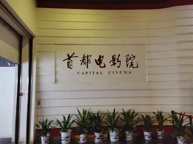 女性流黄色分泌物像果冻一样正常吗的相关介绍