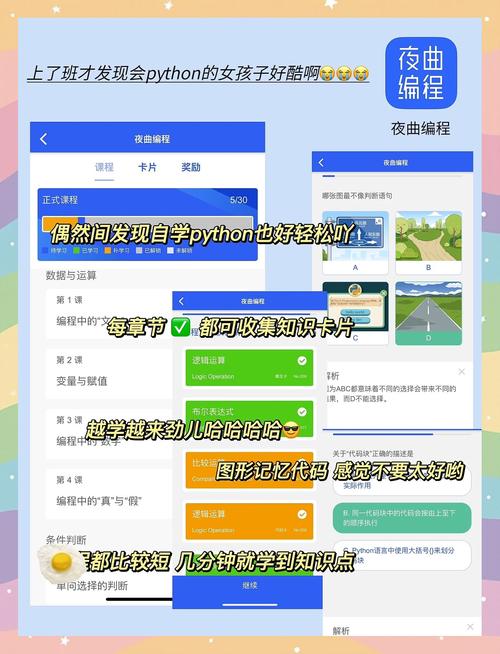 后宫调教(高h,np)的相关介绍
