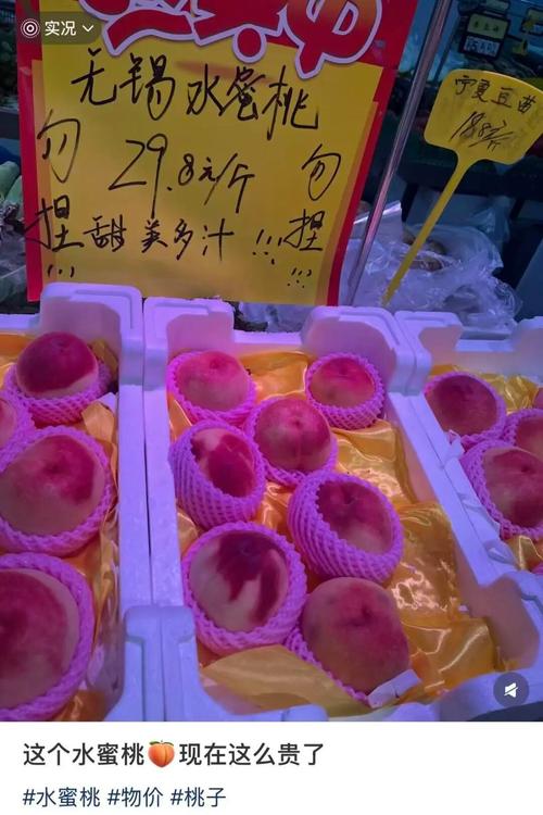 一边摸一边搞的相关介绍