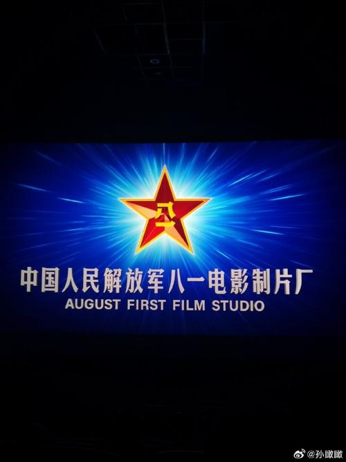 老司机午夜影院的相关介绍