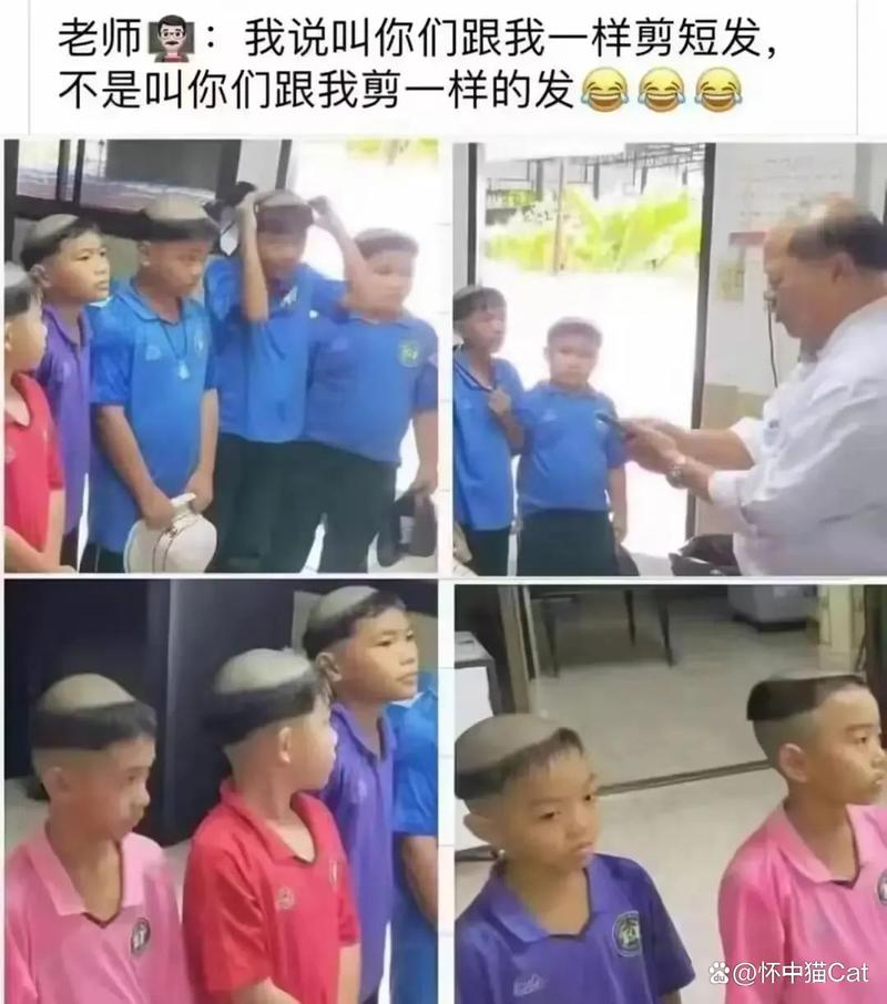 无敌神马影院的相关介绍