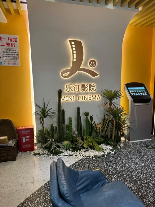 撸撸射影院的相关介绍