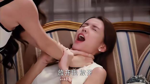 丫丫4080新觉视影院的相关介绍