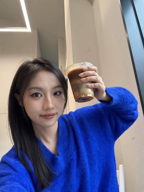 飞鸟影院的相关介绍
