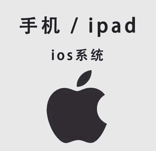 老司机影院午夜剧情的相关介绍