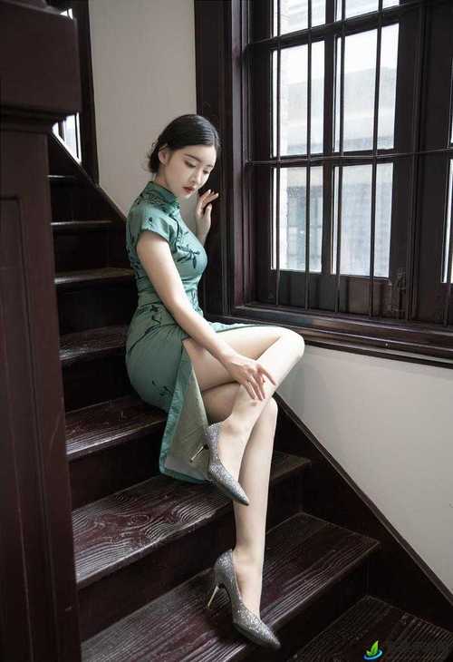 高h/调教的相关介绍