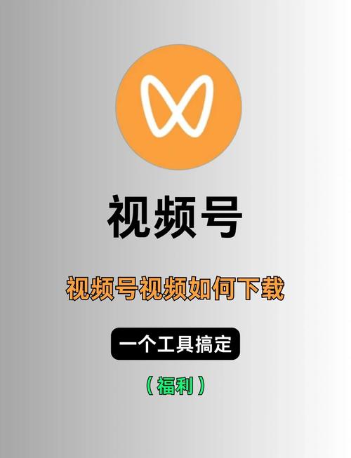 28影院的相关介绍