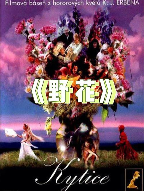 97影院97伦理97电影的相关介绍