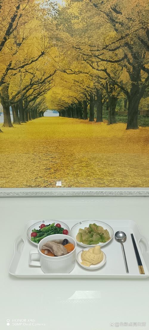 国产精品内色的相关介绍