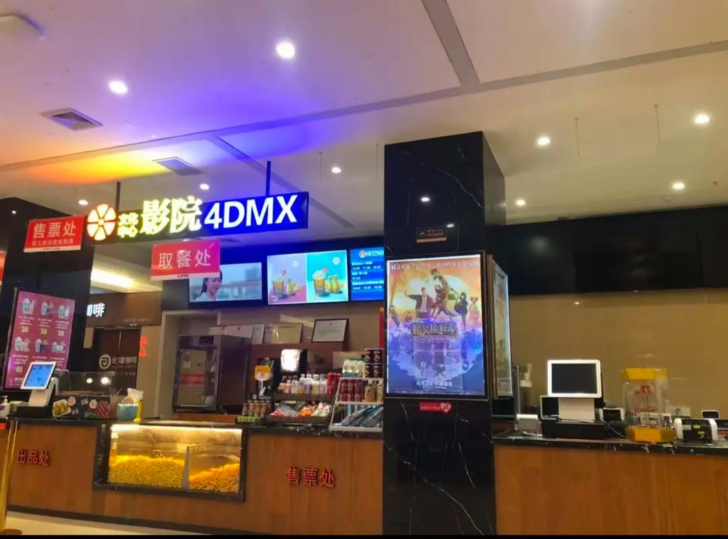 老光棍电影影院yy在线播放的相关介绍