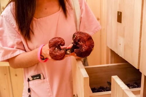 少妇熟女亚洲一区二区三区的相关介绍