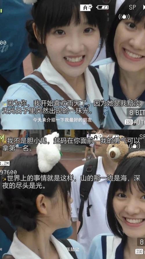 星辰影院免费追剧大全在线观看电视剧的相关介绍