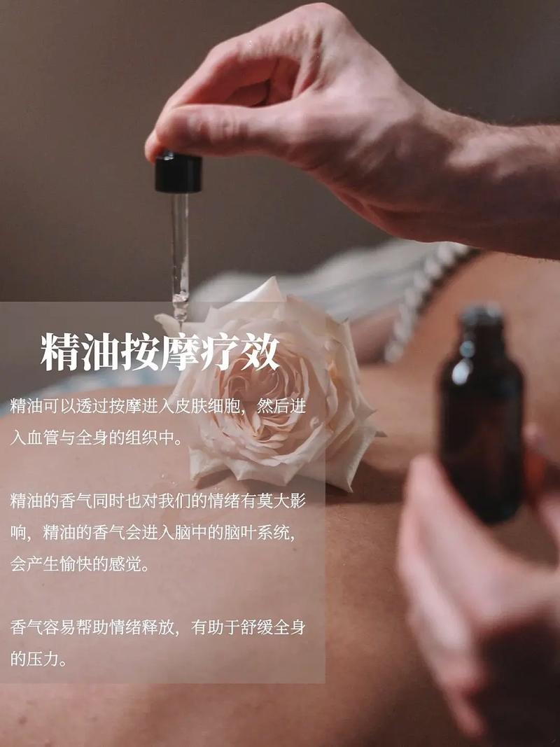 免vip影院的相关介绍