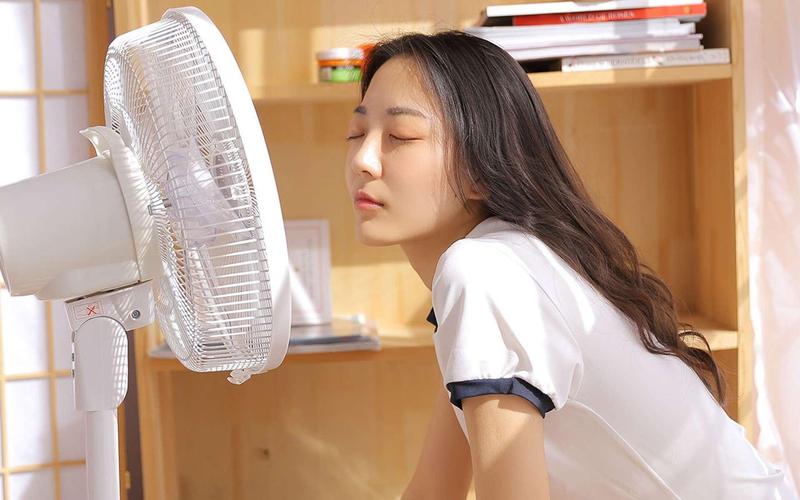 人妻少妇无套内射的相关介绍