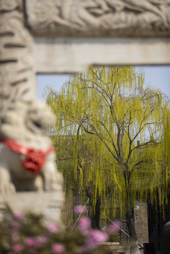 浮生影院的相关介绍