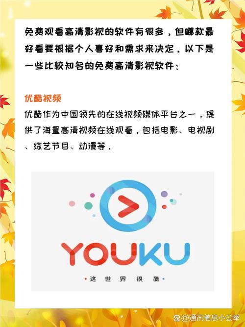 久久久无精品的相关介绍