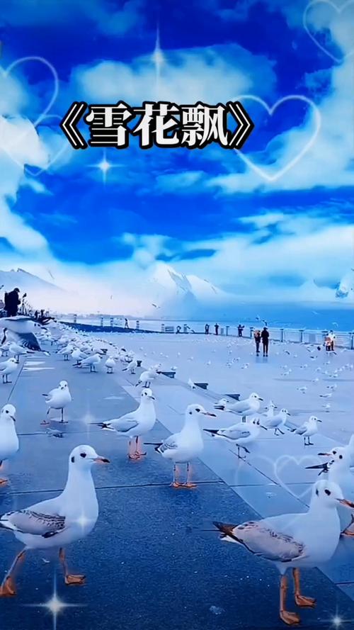 嘉兴电影院的相关介绍