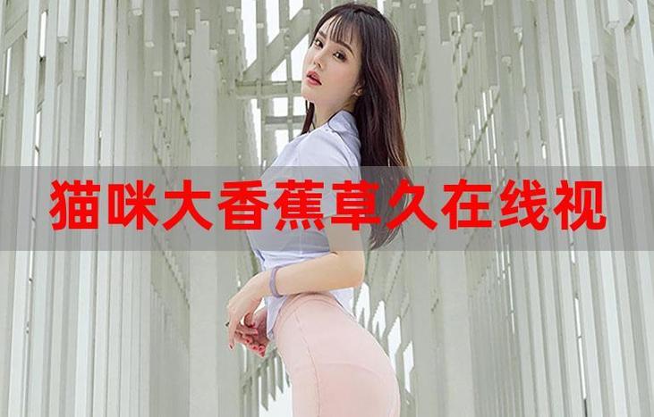 少妇在军营h文的相关介绍