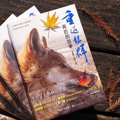 少妇亚洲一二三的相关介绍