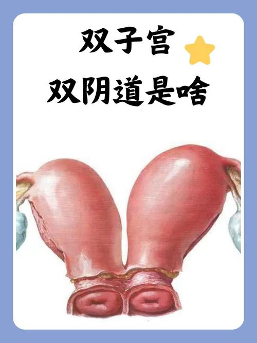 拍拍影院的相关介绍