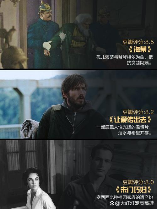 中文丰满熟女国产avav的相关介绍