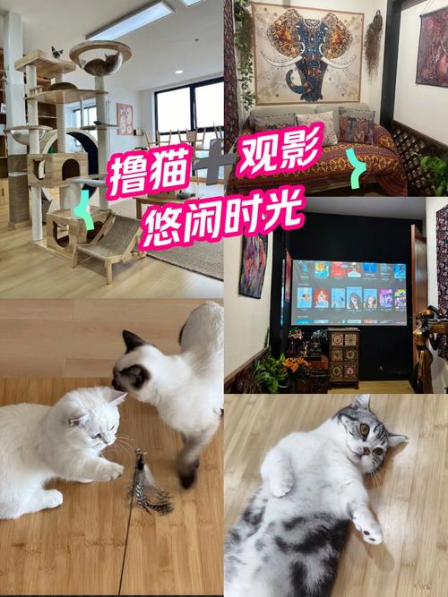 哥哥综合影院的相关介绍