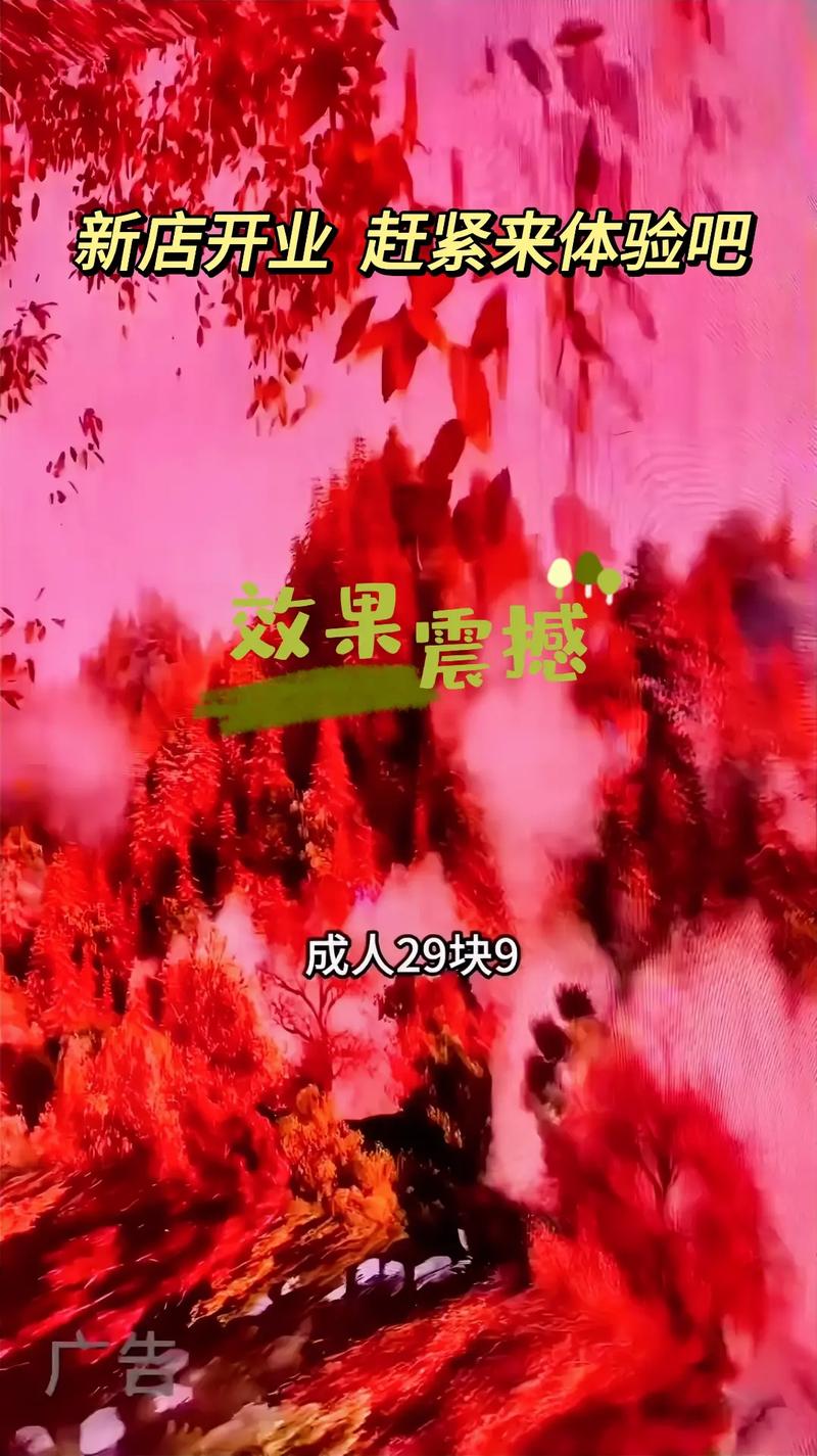 快看视频下载app的相关介绍