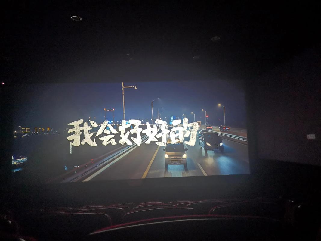 新东方影院的相关介绍