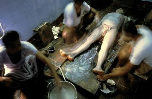 大地影院mv在线观看视频免费的相关介绍