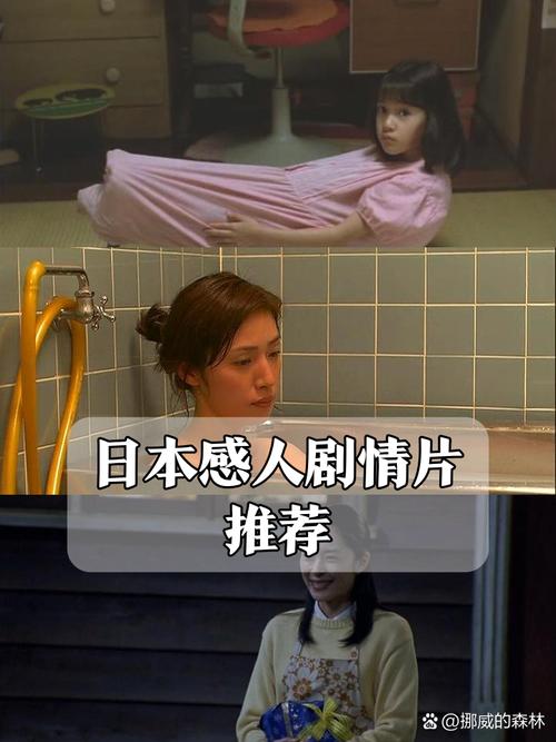 东北女人黄色录像的相关介绍