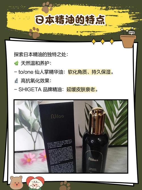 玫瑰影院的相关介绍