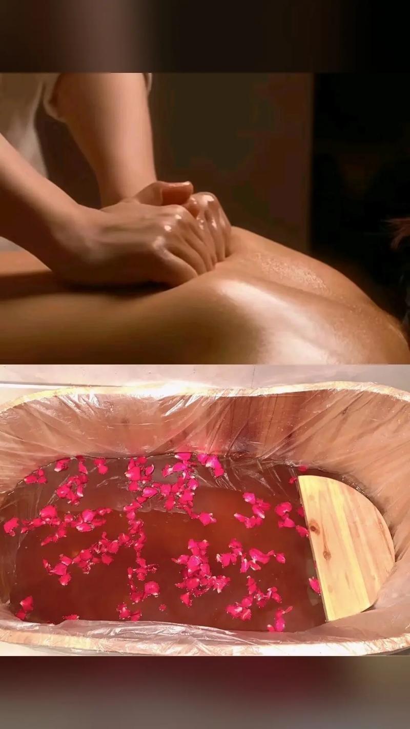 女女同影院的相关介绍