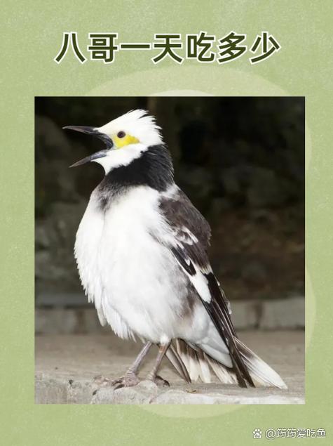 七天影院的相关介绍