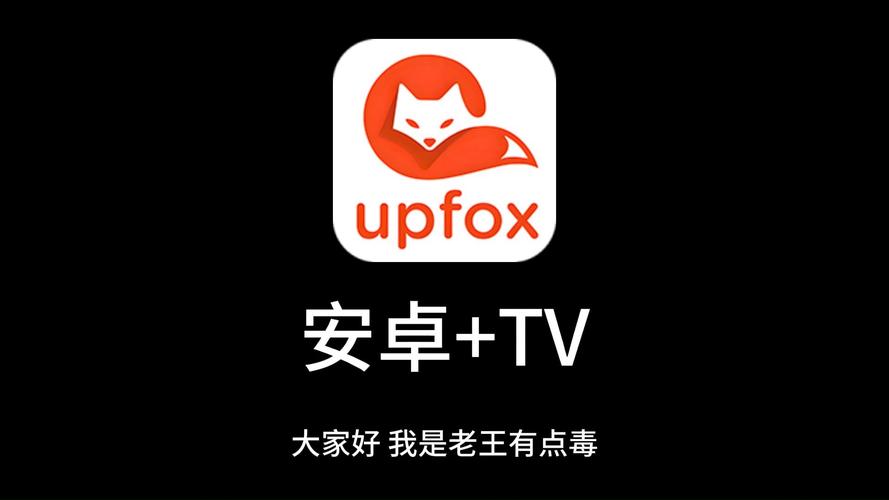 国产一区二区三区va的相关介绍