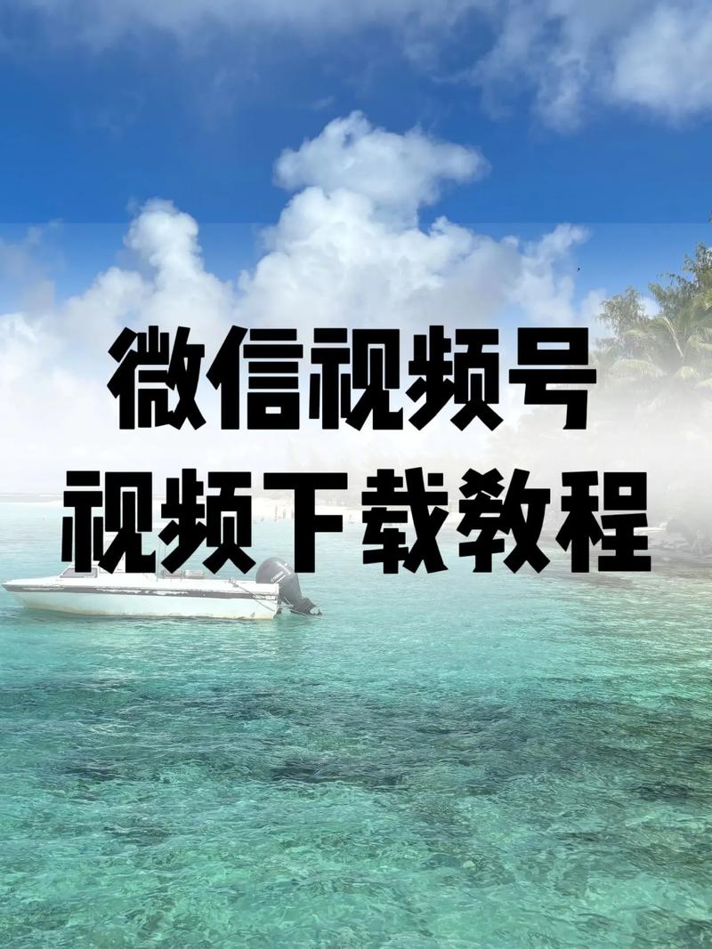 很很射影院的相关介绍