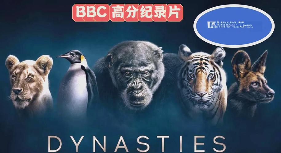 在线看18禁视频的相关介绍