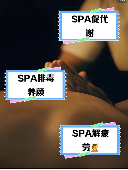 16—17女人毛片的相关介绍