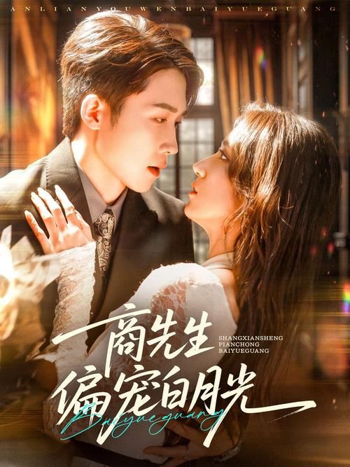 风行影院的相关介绍