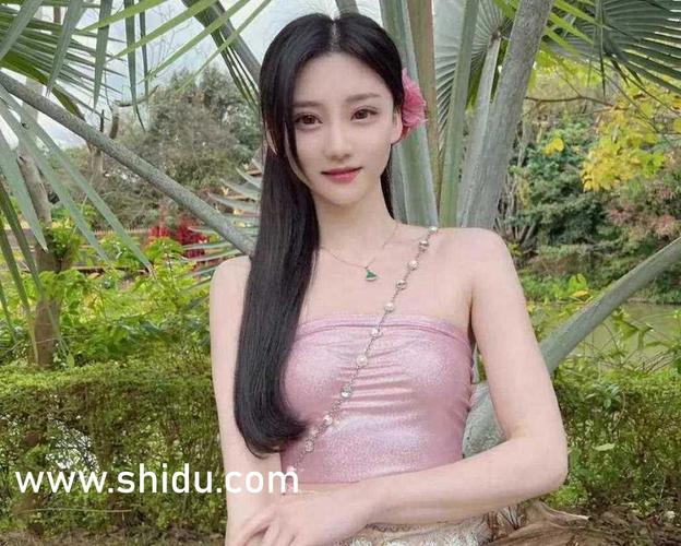 老司机影院免费下的相关介绍